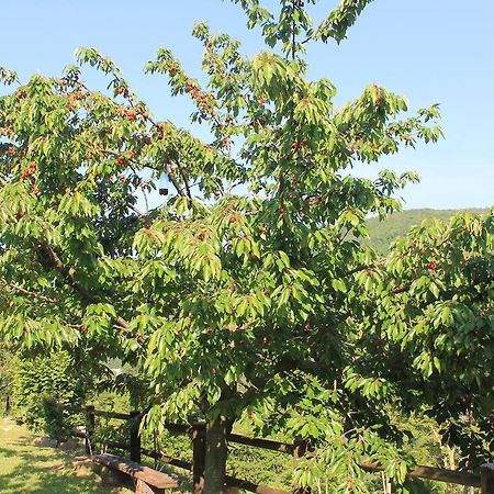 B&B Il Poggetto Serra Sant'Abbondio Екстер'єр фото