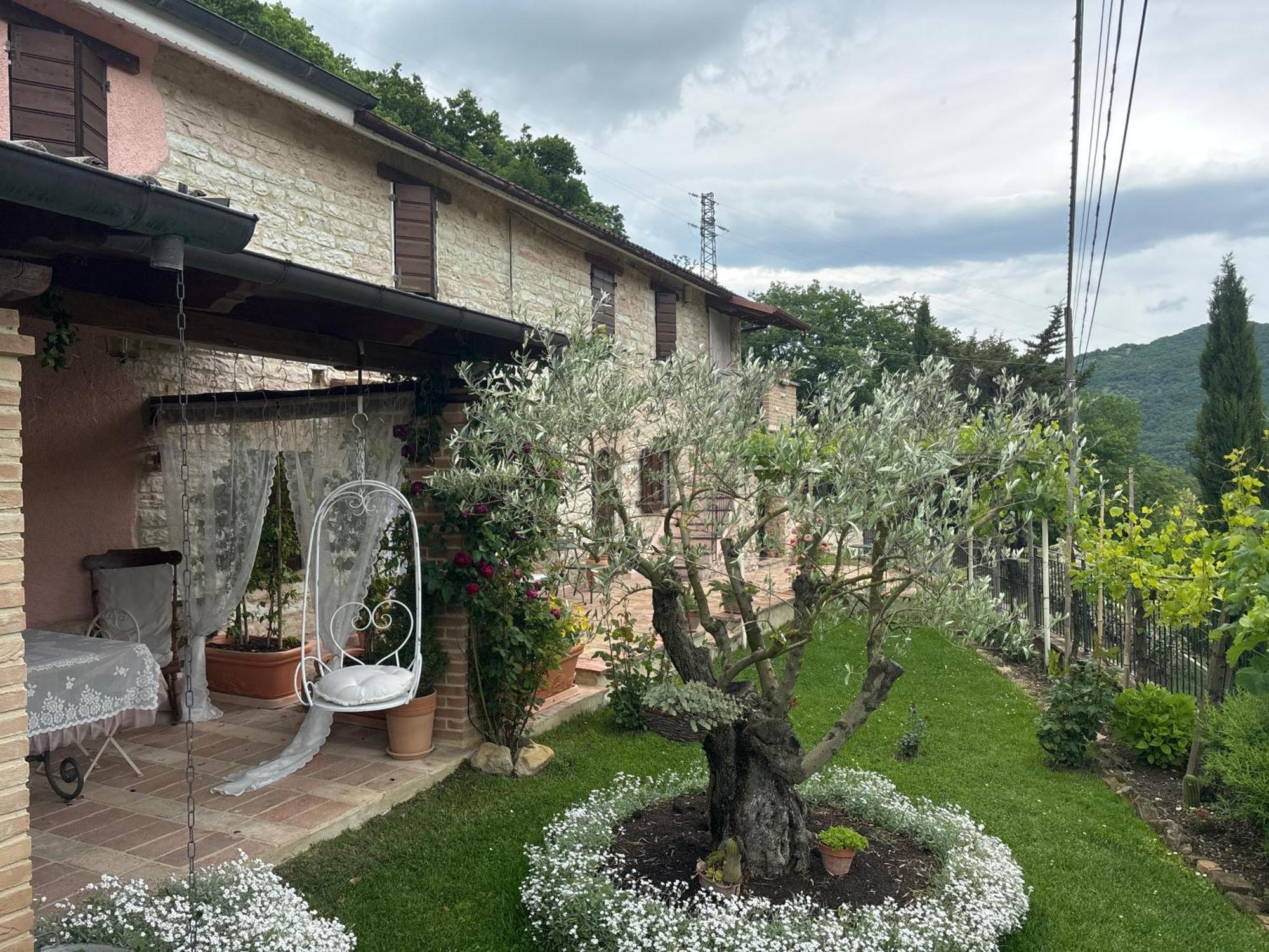 B&B Il Poggetto Serra Sant'Abbondio Екстер'єр фото