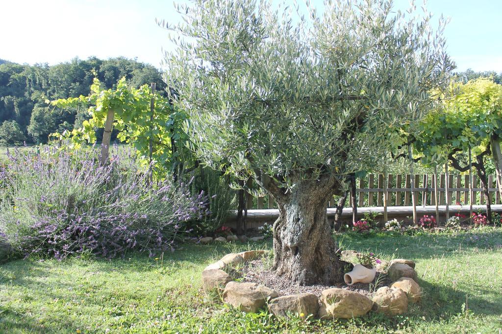 B&B Il Poggetto Serra Sant'Abbondio Екстер'єр фото