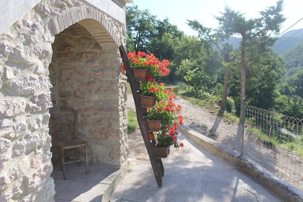 B&B Il Poggetto Serra Sant'Abbondio Екстер'єр фото