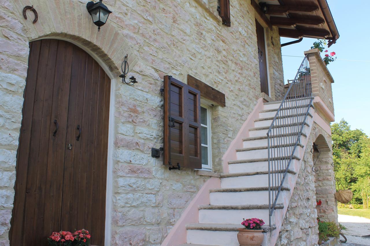 B&B Il Poggetto Serra Sant'Abbondio Екстер'єр фото
